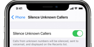 5 Best Ways How Do You See Blocked Calls On IPhone 2024