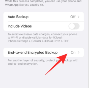 how to disable end-to-end encryption in whatsapp