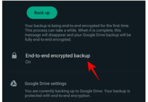 how to disable end-to-end encryption in whatsapp