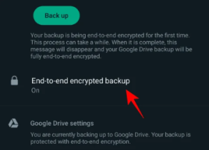 how to disable end-to-end encryption in whatsapp