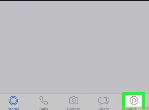 1. Open WhatsApp in your iPhone and select the setting button at the bottom right corner.