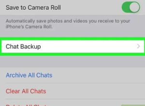 1. Open WhatsApp in your iPhone and select the setting button at the bottom right corner.