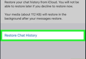 4. Now enter the phone number and select restore chat history.