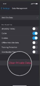 Then on the toggles of cache and cookies to click on clean private data.