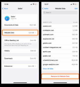 Then select website data and scroll down to find the option called remove all website data and delete all of the data.