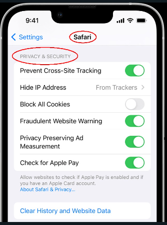 How to enable cookies on an iPhone