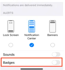what are badges on iphone
